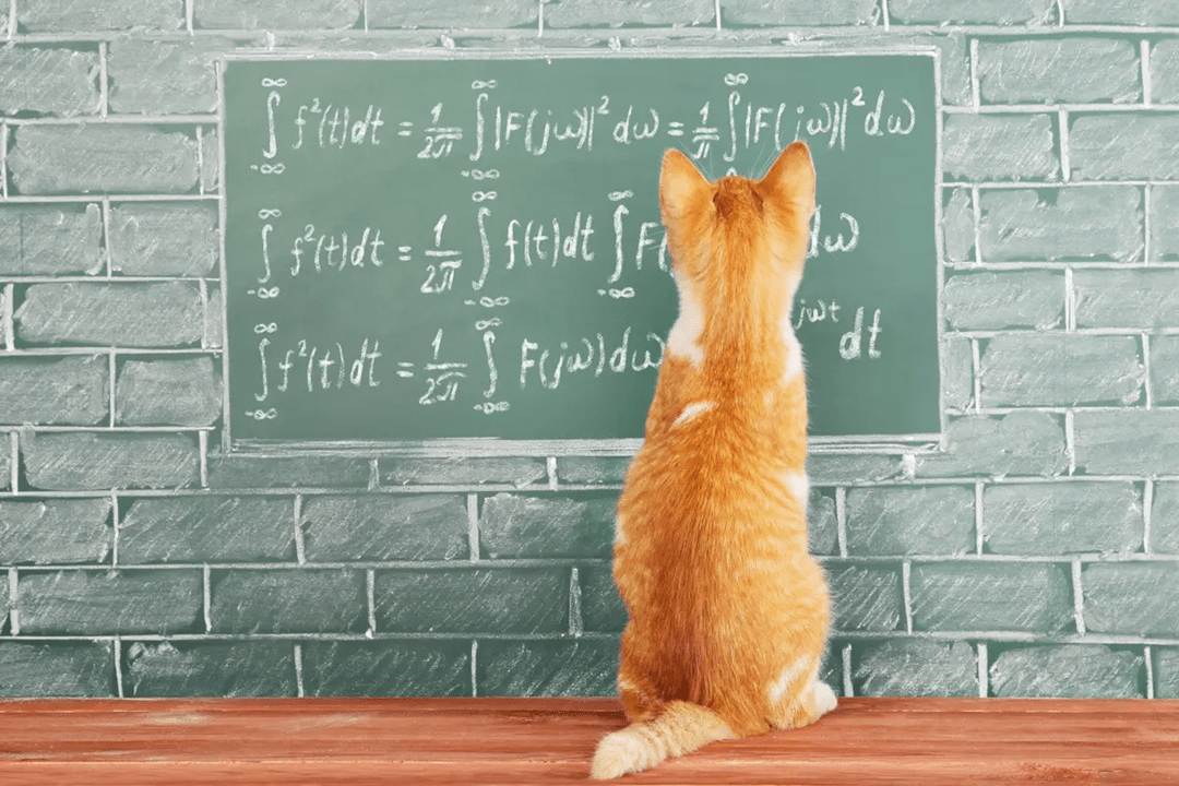 kot matematyczny
